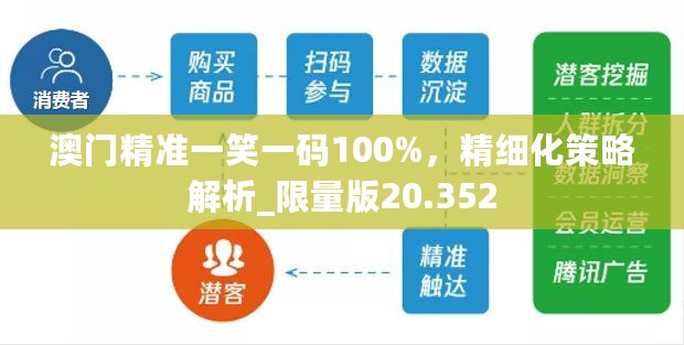 澳门精准一笑一码100%，精细化策略解析_限量版20.352