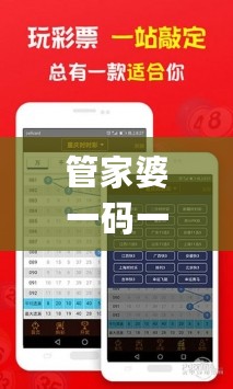 管家婆一码一肖资料，实践计划推进_Galaxy71.643