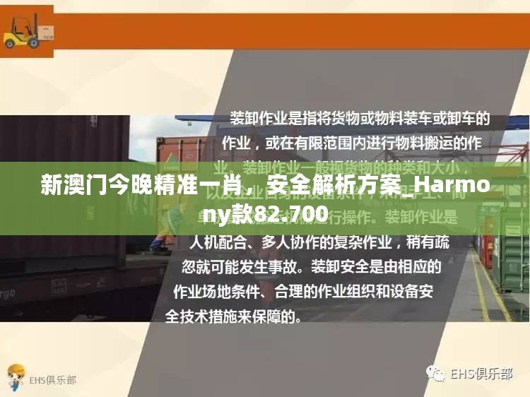 新澳门今晚精准一肖，安全解析方案_Harmony款82.700