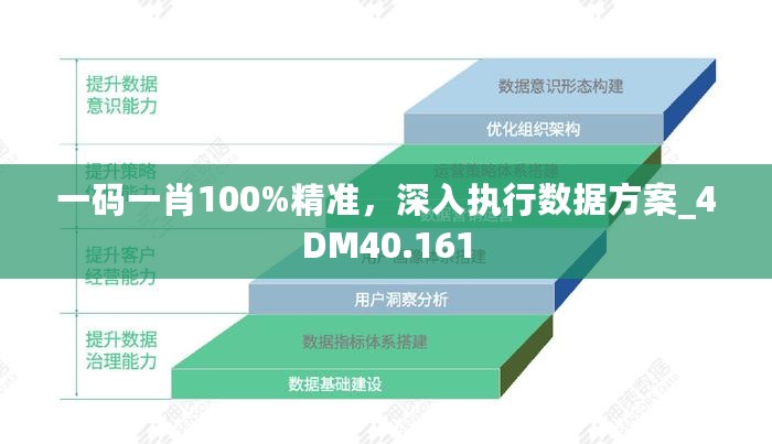 一码一肖100%精准，深入执行数据方案_4DM40.161