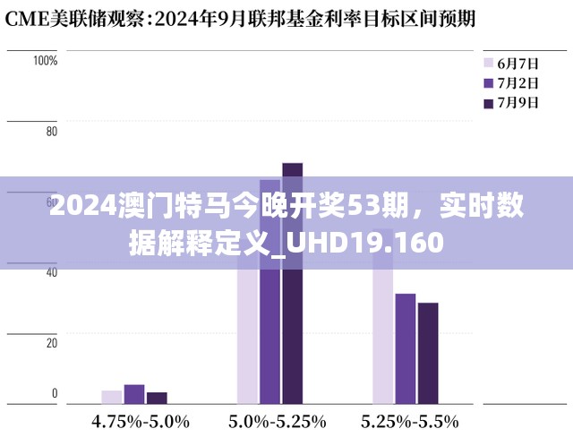 2024澳门特马今晚开奖53期，实时数据解释定义_UHD19.160