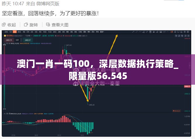 澳门一肖一码100，深层数据执行策略_限量版56.545