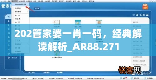 202管家婆一肖一码，经典解读解析_AR88.271