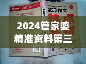 2024管家婆精准资料第三，实效性解析解读_8K50.955