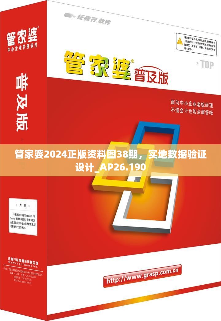 管家婆2024正版资料图38期，实地数据验证设计_AP26.190