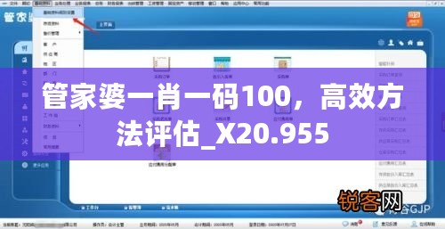 管家婆一肖一码100，高效方法评估_X20.955