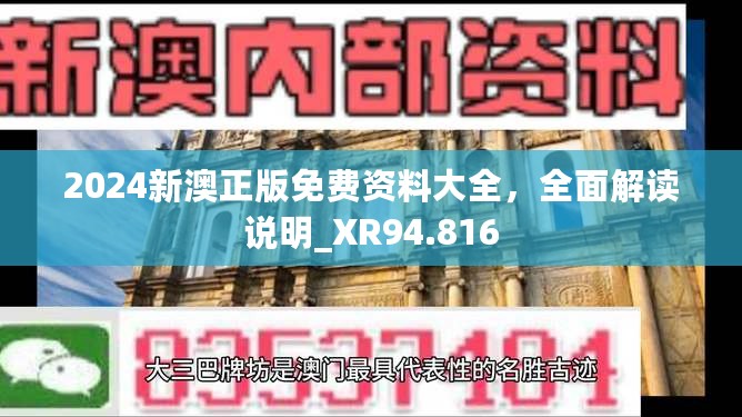 2024新澳正版免费资料大全，全面解读说明_XR94.816