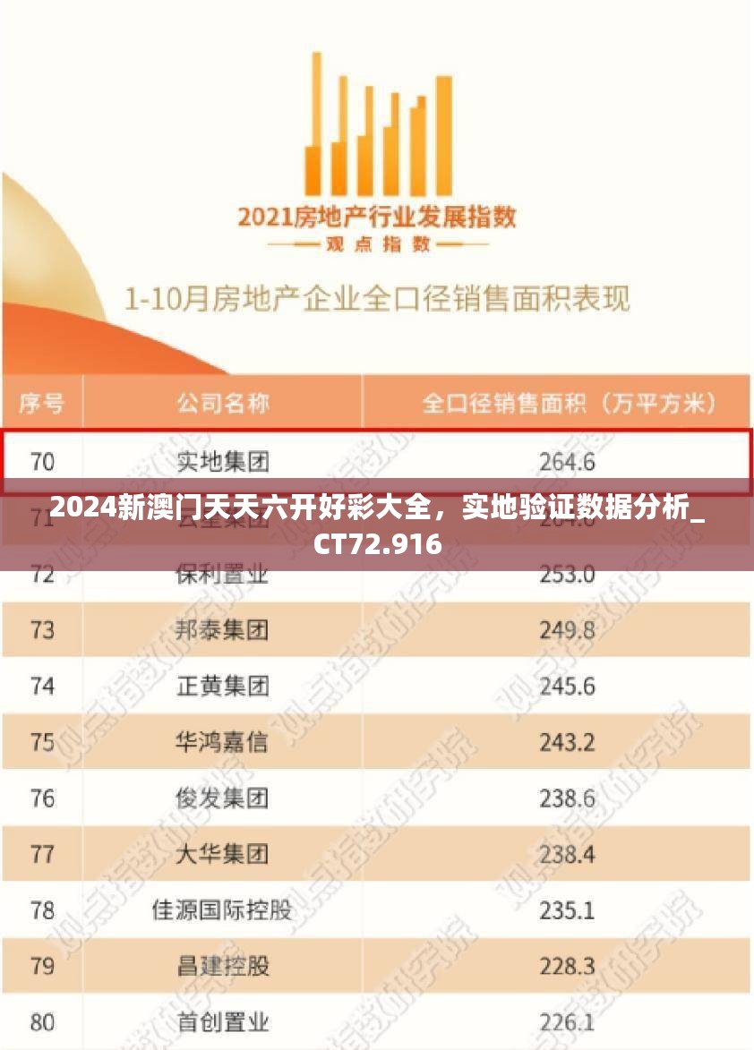 2024新澳门天天六开好彩大全，实地验证数据分析_CT72.916