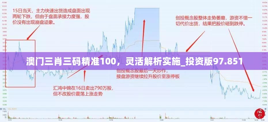 澳门三肖三码精准100，灵活解析实施_投资版97.851