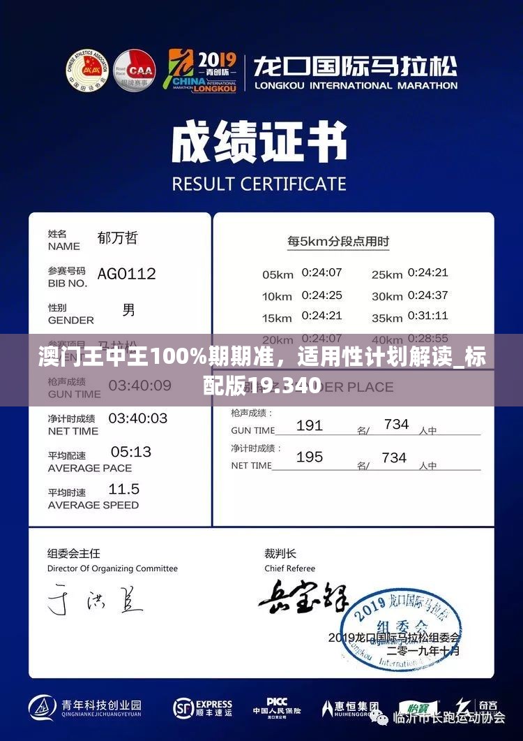 澳门王中王100%期期准，适用性计划解读_标配版19.340