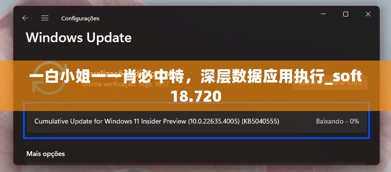 一白小姐一一肖必中特，深层数据应用执行_soft18.720