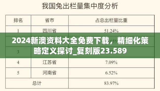 精细化策略定义探讨