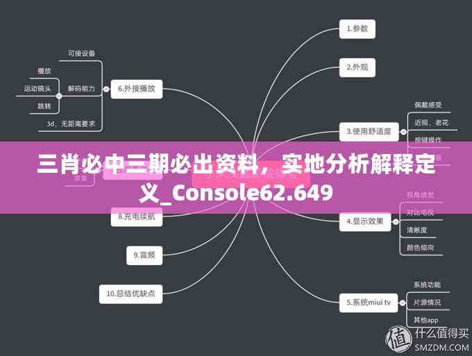 三肖必中三期必出资料，实地分析解释定义_Console62.649