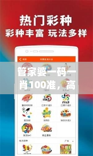 管家婆一码一肖100准，高效方案实施设计_战斗版85.945