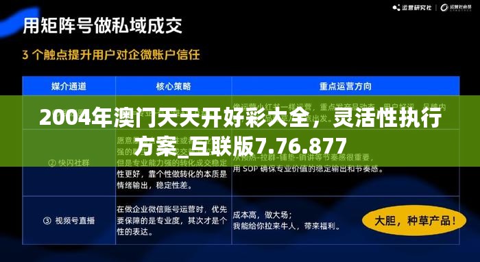 2004年澳门天天开好彩大全，灵活性执行方案_互联版7.76.877