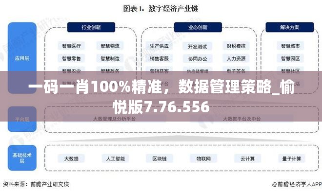 一码一肖100%精准，数据管理策略_愉悦版7.76.556