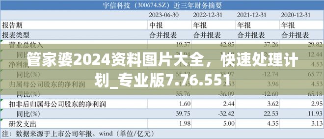 管家婆2024资料图片大全，快速处理计划_专业版7.76.551