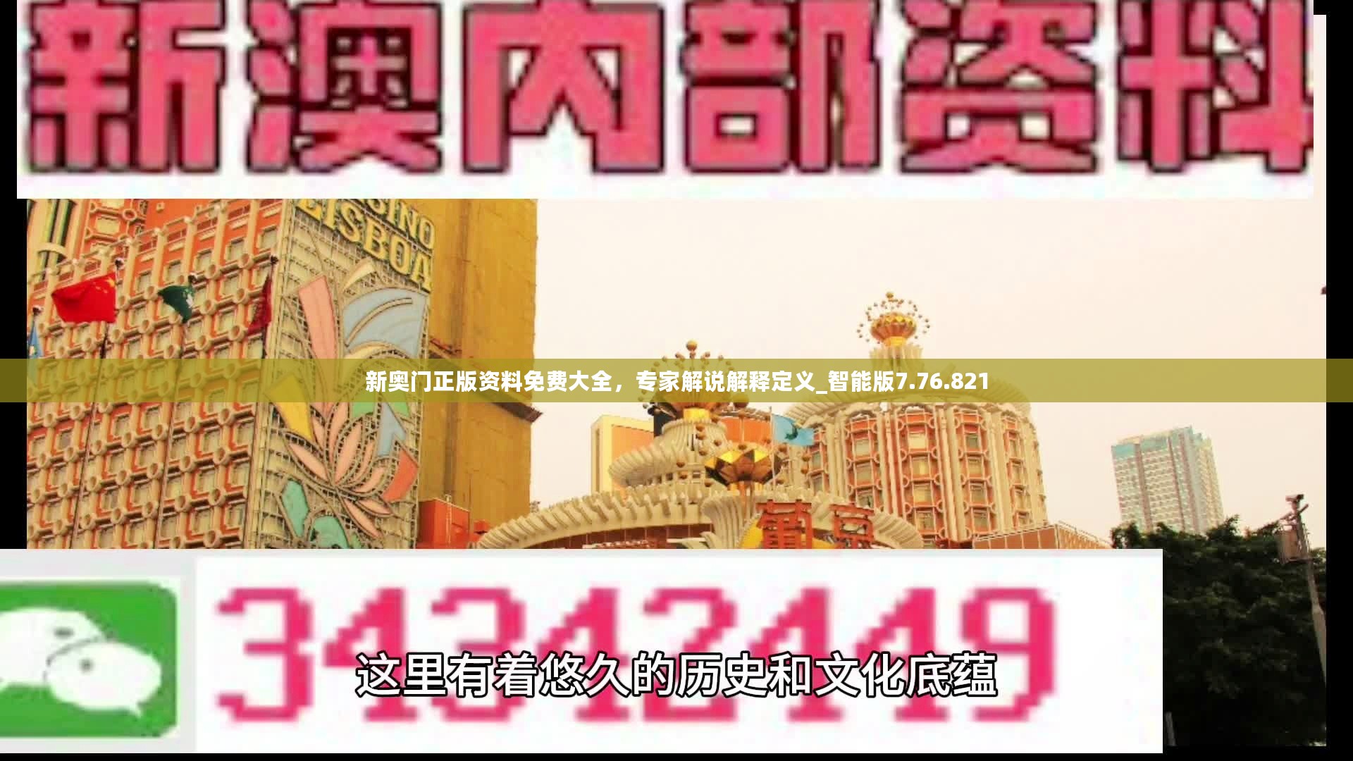 新奥门正版资料免费大全，专家解说解释定义_智能版7.76.821