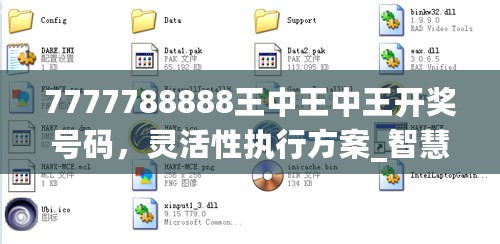 7777788888王中王中王开奖号码，灵活性执行方案_智慧版7.76.948