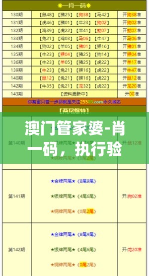 澳门管家婆-肖一码，执行验证计划_多元文化版7.76.531