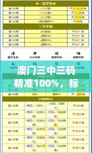 澳门三中三码精准100%，标准执行具体评价_无限版7.76.491