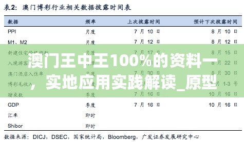 澳门王中王100%的资料一，实地应用实践解读_原型版7.76.242