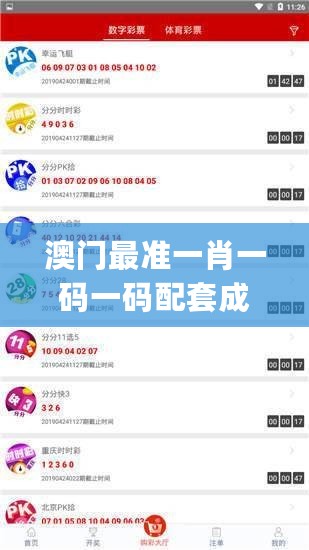 澳门最准一肖一码一码配套成龙a，资源部署方案_时尚版7.76.635