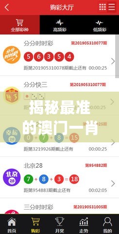 揭秘最准的澳门一肖一码，综合计划评估_电影版7.76.453