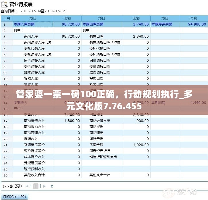 管家婆一票一码100正确，行动规划执行_多元文化版7.76.455