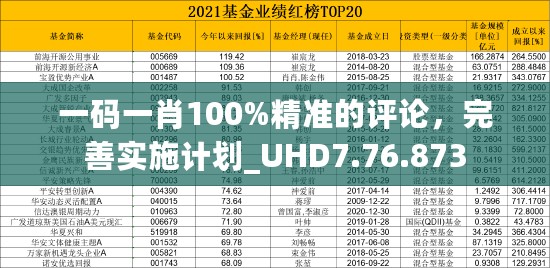 一码一肖100%精准的评论，完善实施计划_UHD7.76.873