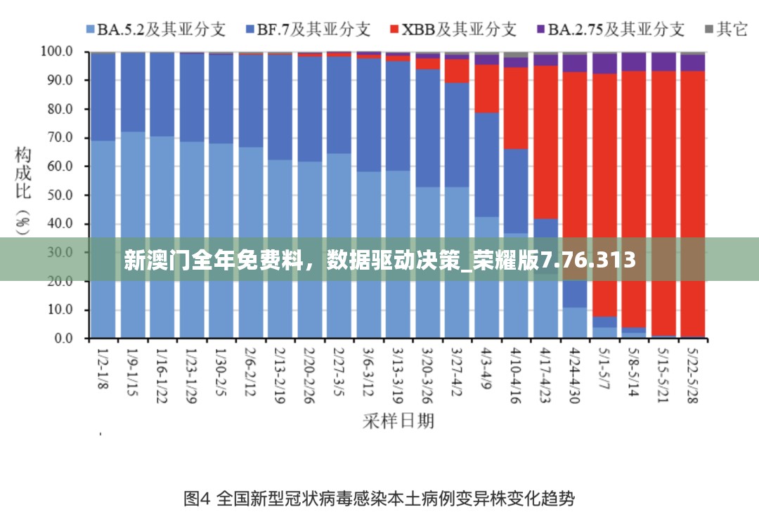 新澳门全年免费料，数据驱动决策_荣耀版7.76.313