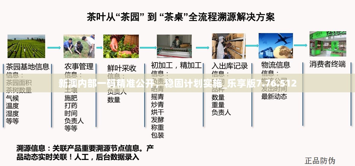 新澳内部一码精准公开