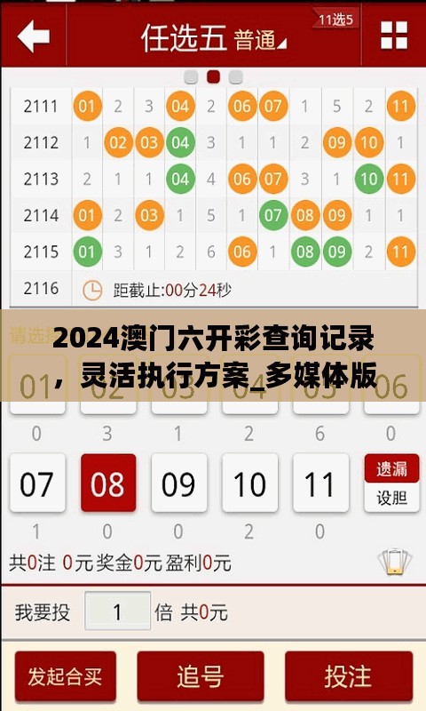 2024澳门六开彩查询记录，灵活执行方案_多媒体版7.76.210