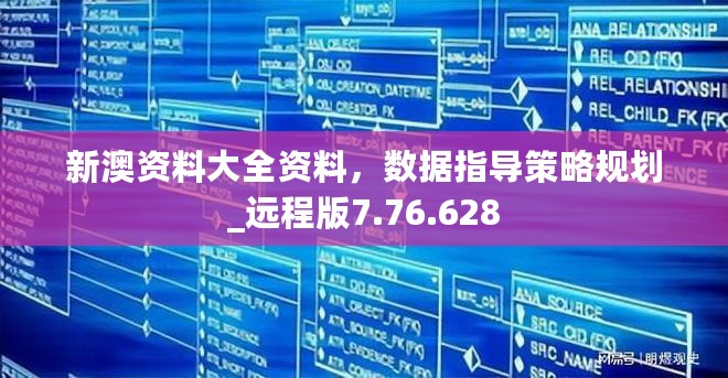 新澳资料大全资料，数据指导策略规划_远程版7.76.628