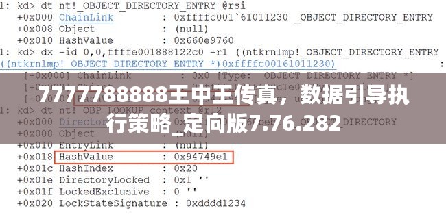 7777788888王中王传真，数据引导执行策略_定向版7.76.282