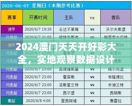 2024澳门天天开好彩大全，实地观察数据设计_高效版7.76.963