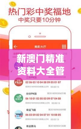 新澳门精准资料大全管家婆料，现象分析定义_随机版7.76.784