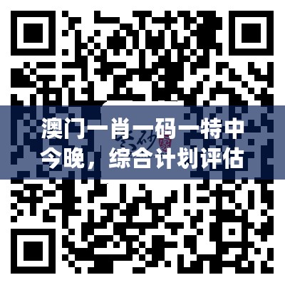 澳门一肖一码一特中今晚，综合计划评估_拍照版7.76.429