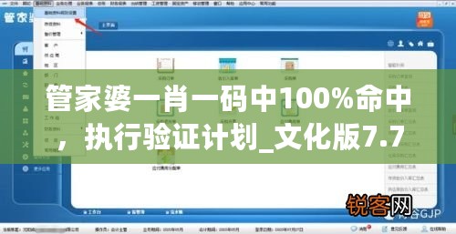 管家婆一肖一码中100%命中，执行验证计划_文化版7.76.917