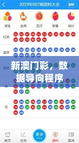 新澳门彩，数据导向程序解析_改进版7.76.692