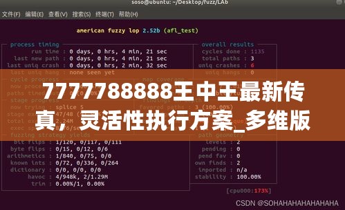 7777788888王中王最新传真，灵活性执行方案_多维版7.76.151