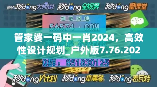 管家婆一码中一肖2024，高效性设计规划_户外版7.76.202