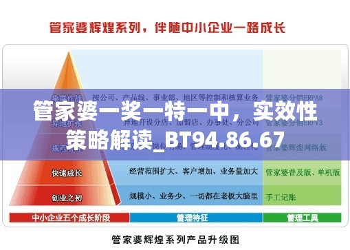 管家婆一奖一特一中，实效性策略解读_BT94.86.67