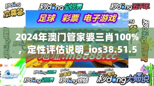 2024年澳门管家婆三肖100%，定性评估说明_ios38.51.55