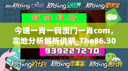 今晚一肖一码澳门一肖com，实地分析解析说明_The86.30.73