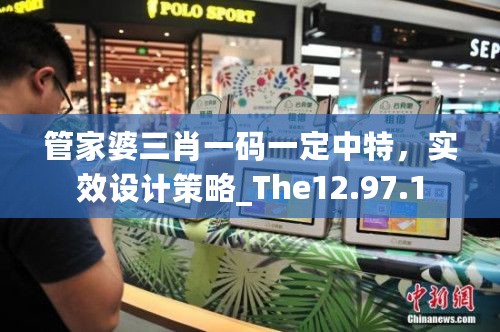 管家婆三肖一码一定中特，实效设计策略_The12.97.1