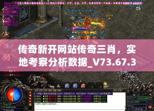 传奇新开网站传奇三肖，实地考察分析数据_V73.67.32