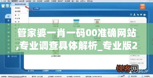 管家婆一肖一码00准确网站,专业调查具体解析_专业版2.72.802