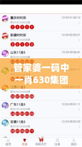 管家婆一码中一肖630集团,统计数据详解说明_无线版2.72.445