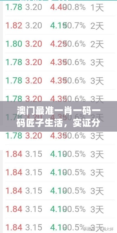 澳门最准一肖一码一码匠子生活，实证分析说明_WP95.24.99